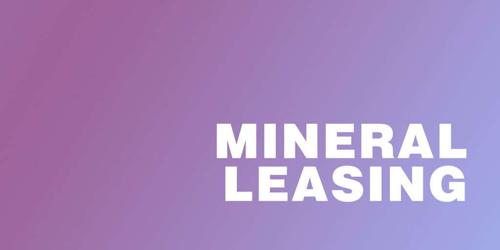 No boos, no cheering at online mine hearings - Vimarsana News