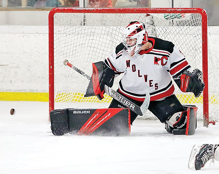 Ely slips 4-2 in final game on home ice - Vimarsana News
