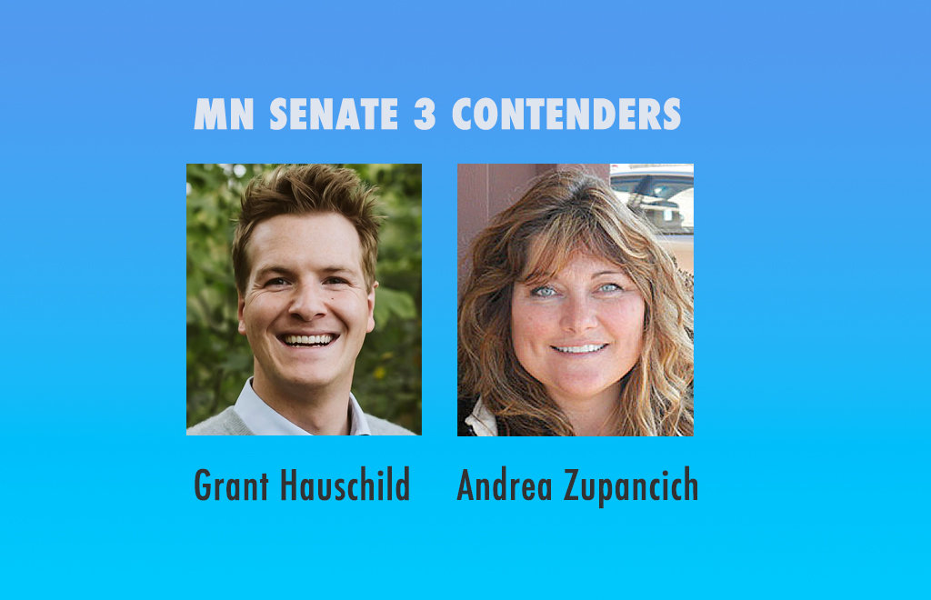 State Senate 3 seat will be hotly contested - Vimarsana News