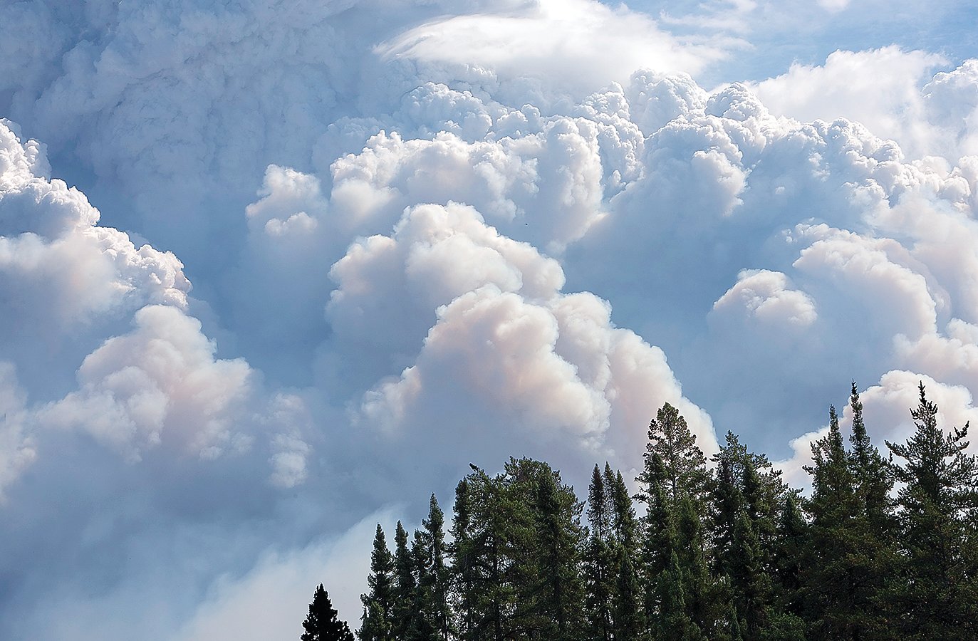 Ten years after The Big One | The Timberjay - Vimarsana News