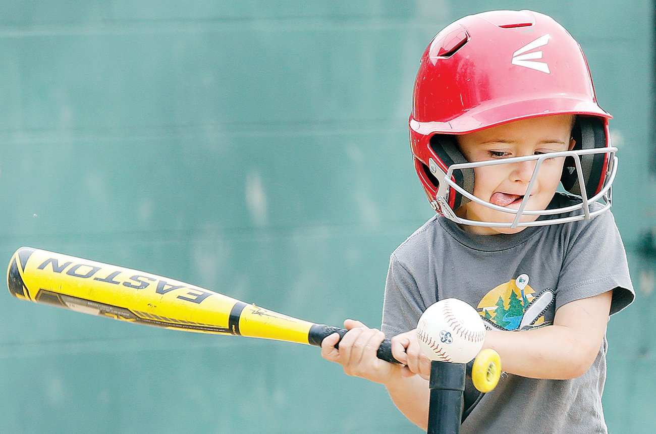 Focus is aim of young t-ballers - Vimarsana News