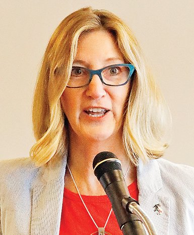 Jennifer Schultz looks to replace Stauber in Washington - Vimarsana News